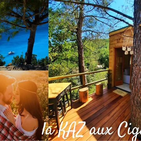Cabane Dans Les Arbres "La Kaz Aux Cigales" 쿠어스 외부 사진