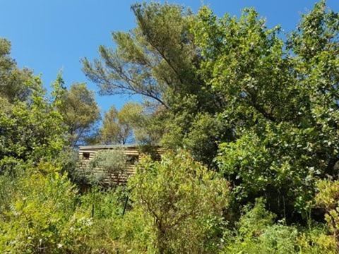 Cabane Dans Les Arbres "La Kaz Aux Cigales" 쿠어스 외부 사진