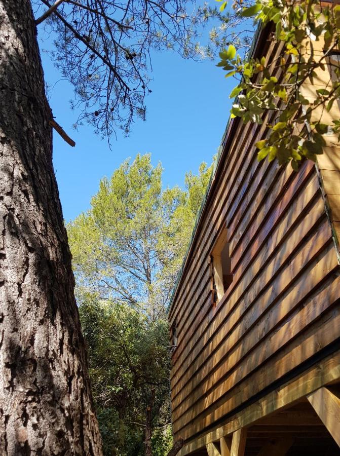 Cabane Dans Les Arbres "La Kaz Aux Cigales" 쿠어스 외부 사진